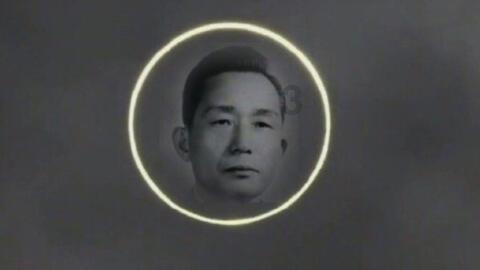三柏硕预计2023年盈转亏 2022年上市募资6.8亿元